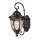 Harper 1 Light 14 inch Regal Bronze with Clear Outdoor Wall Sconce