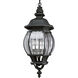 PraGallinule 4 Light 11.13 inch Textured Black Outdoor Hanging Lantern