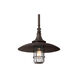 Woods 1 Light 16 inch Centennial Rust Outdoor Pendant