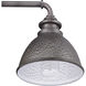 Goderich 1 Light 10 inch Antique Pewter Outdoor Wall Lantern, Small
