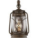Carbon Outdoor Wall Lantern