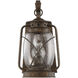 Carbon Outdoor Wall Lantern