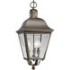 Winona 3 Light 9.5 inch Antique Bronze Outdoor Hanging Lantern