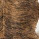 Shelby 60 X 60 inch Brown Rug, Square