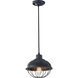 Burke 1 Light 10 inch Antique Forged Iron Pendant Ceiling Light