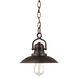 Rapids 1 Light 9.5 inch Burnished Bronze Pendant Ceiling Light