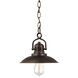 Rapids 1 Light 10 inch Burnished Bronze Pendant Ceiling Light