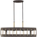 Little River 4 Light 36.13 inch Artisan Rust Linear Chandelier Ceiling Light