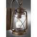 Carbon Outdoor Wall Lantern