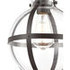 Birch 1 Light 9 inch Oil Rubbed Bronze with Clear Mini Pendant Ceiling Light