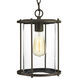 Petrel 1 Light 8 inch Antique Bronze Outdoor Hanging Lantern