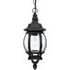 Plantation 1 Light 7 inch Black Outdoor Hanging Lantern