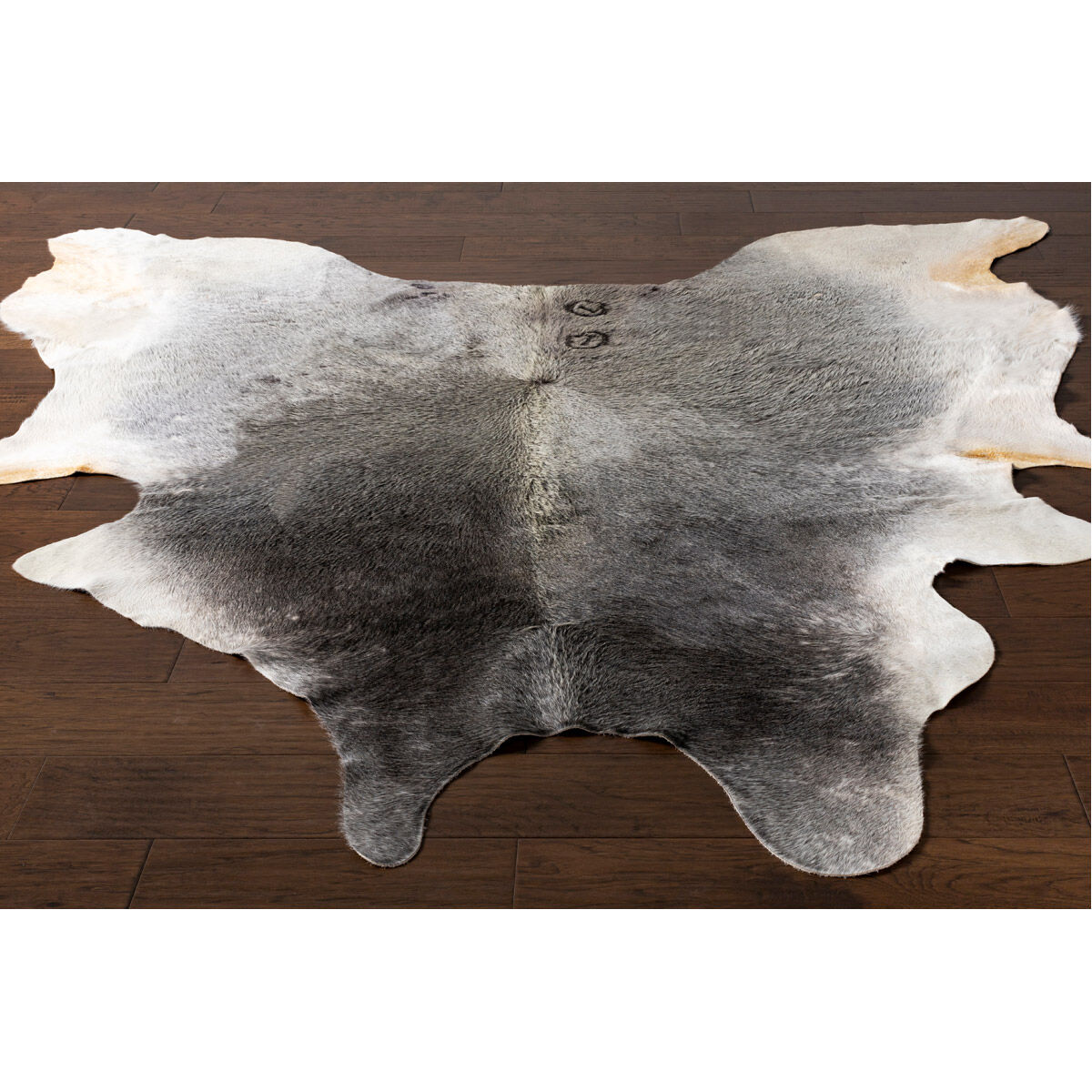 Stanley 84 X 60 inch Black/Cream Rugs, Rectangle