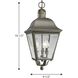 Winona 3 Light 9.5 inch Antique Bronze Outdoor Hanging Lantern