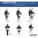 Winona 3 Light 9.5 inch Antique Bronze Outdoor Hanging Lantern