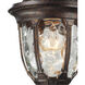Harper 1 Light 14 inch Regal Bronze with Clear Outdoor Wall Sconce