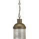 Idaho 1 Light 9.5 inch Aged Brass Pendant Ceiling Light, Design Series