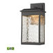 Frances LED 13 inch Textured Matte Black Outdoor Wall Sconce