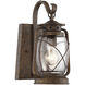 Carbon Outdoor Wall Lantern