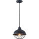 Burke 1 Light 10 inch Antique Forged Iron Pendant Ceiling Light