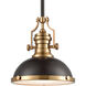 Sabrina 1 Light 13 inch Matte Black with Satin Brass Pendant Ceiling Light