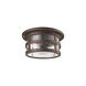 Rowena 2 Light 15 inch Barbosa Bronze Outdoor Flush Mount