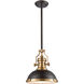 Sabrina 1 Light 13 inch Matte Black with Satin Brass Pendant Ceiling Light