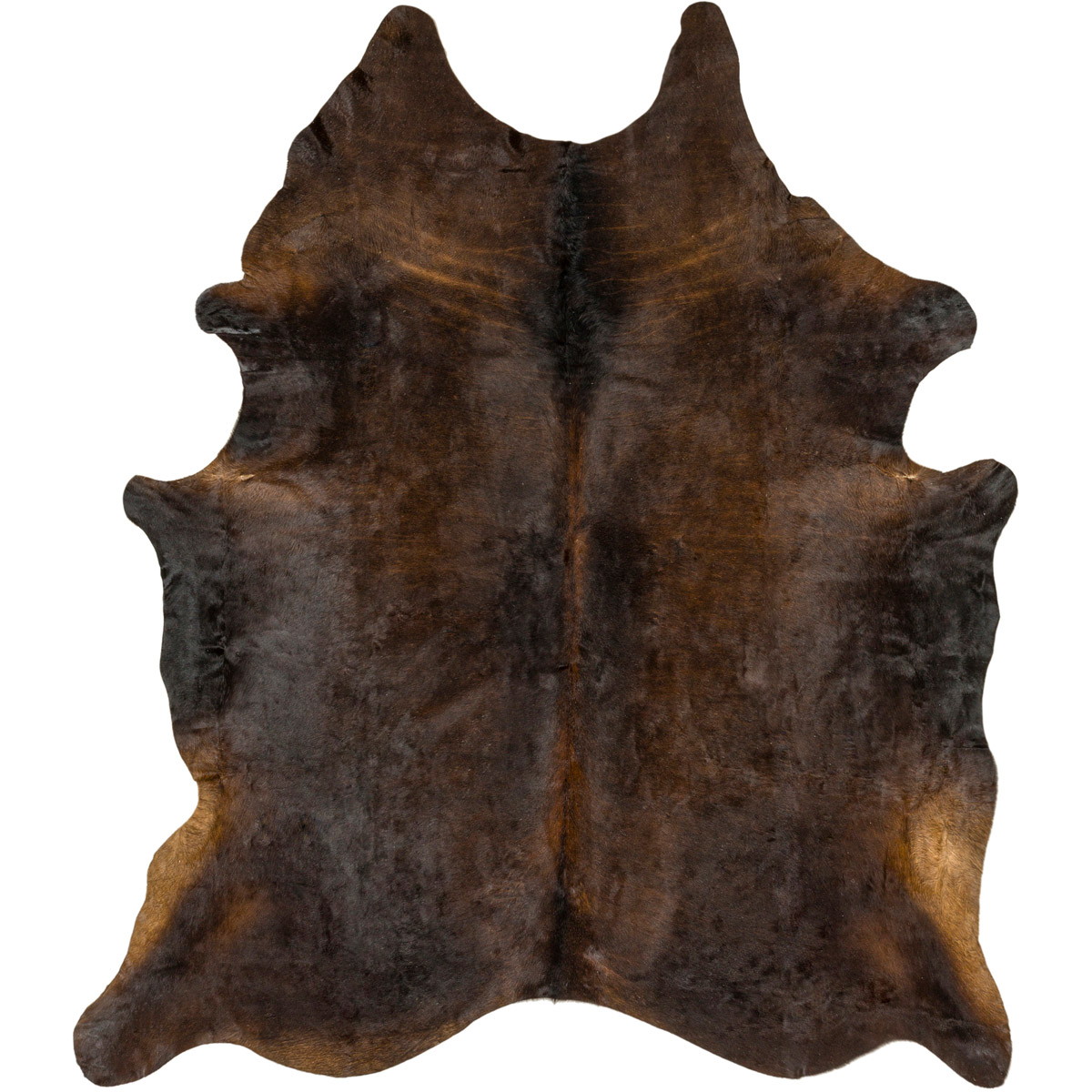 Shelby 60 X 60 inch Dark Brown Rugs, Square