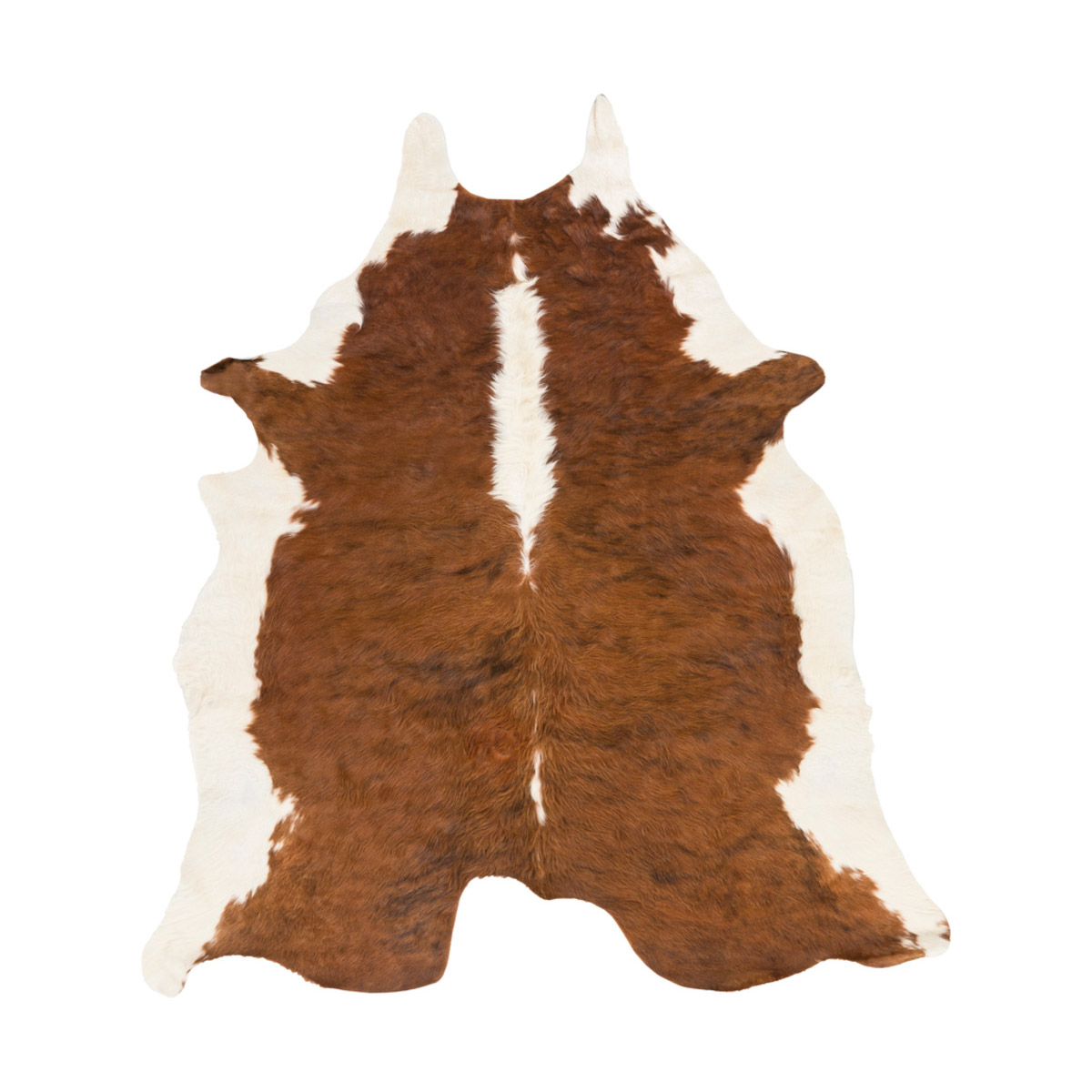 Shelby 60 X 36 inch Camel/Beige Rugs, Rectangle